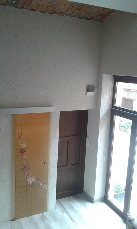 布拉索夫Duplex Alexander公寓 外观 照片